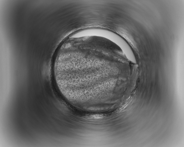 X0000096640156200802261306