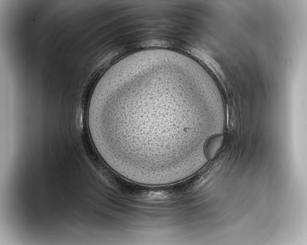 X0000096640157200802261306