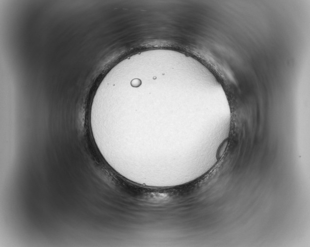 X0000096640159200802261306