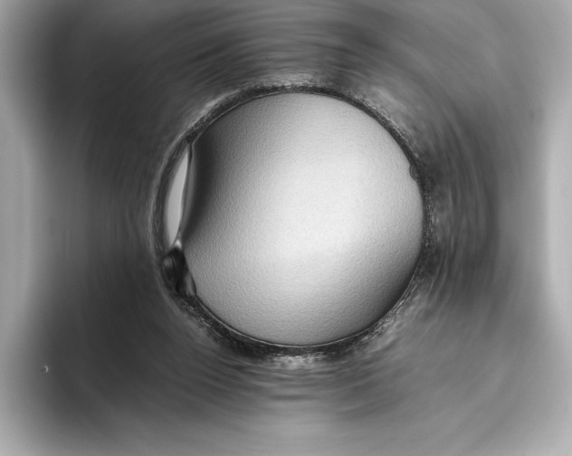 X0000096640160200802261306