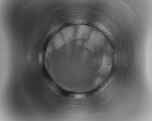 X0000096640165200802261306