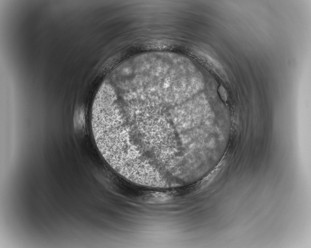 X0000096640166200802261306