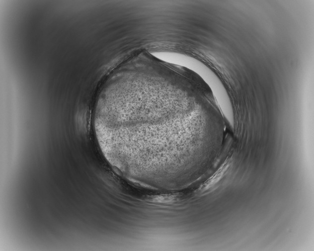 X0000096640168200802261306