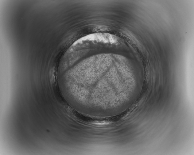 X0000096640169200802261306