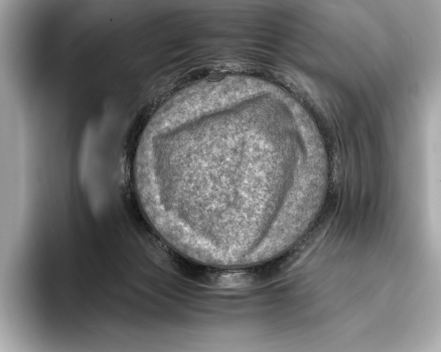 X0000096640173200802261306