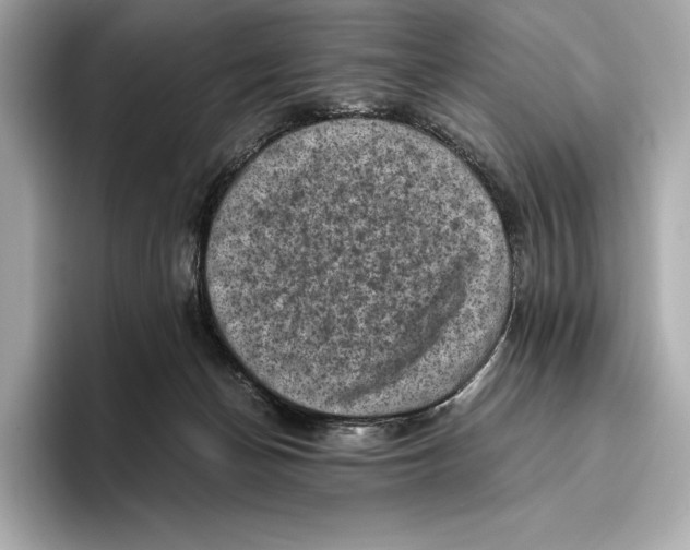 X0000096640174200802261306