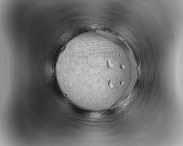 X0000096640176200802261306