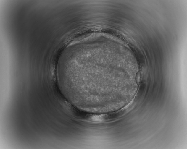 X0000096640178200802261306