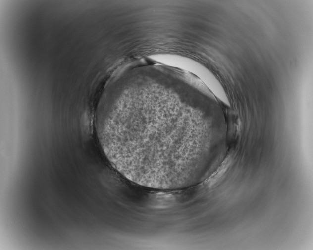 X0000096640180200802261306