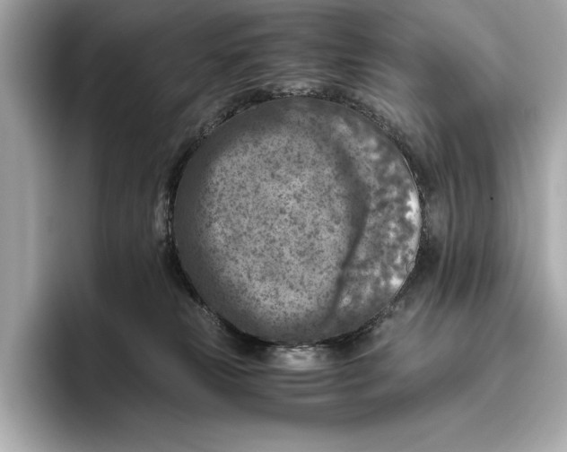 X0000096640181200802261306