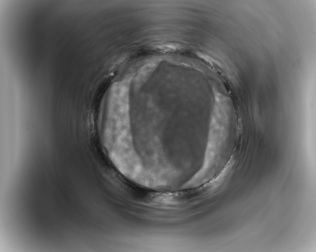 X0000096640182200802261306