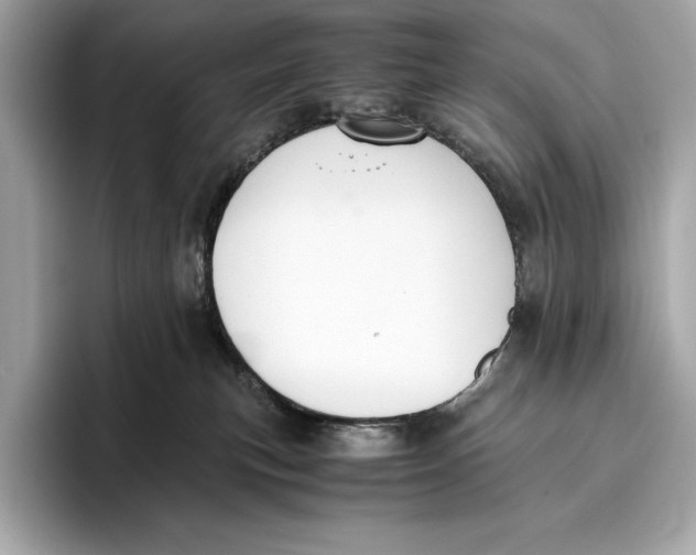 X0000096640183200802261306