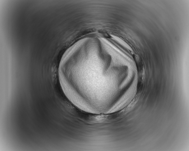 X0000096640184200802261306