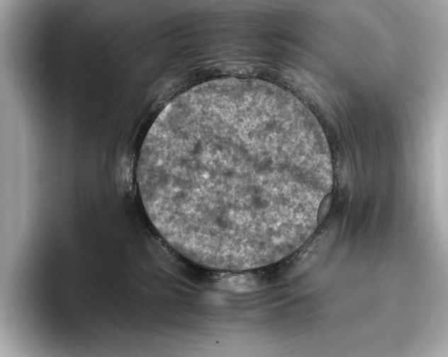 X0000096640185200802261306