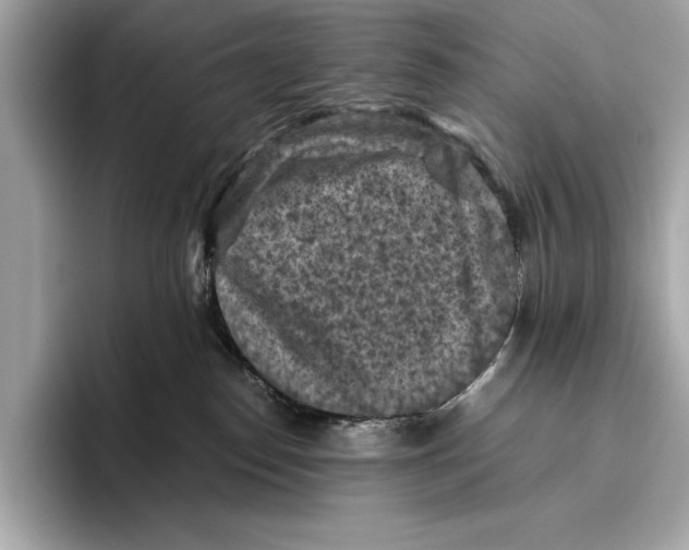 X0000096640186200802261306