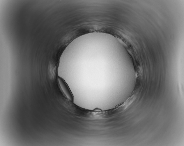 X0000096640188200802261306