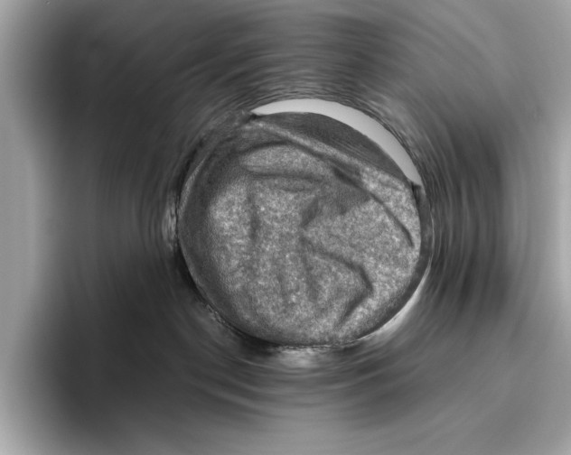 X0000096640190200802261306