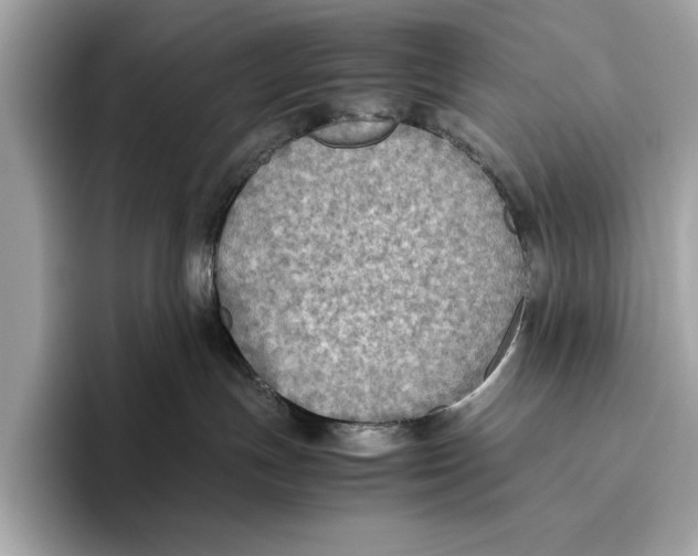 X0000096640191200802261306