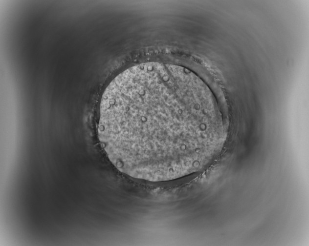 X0000096640192200802261306