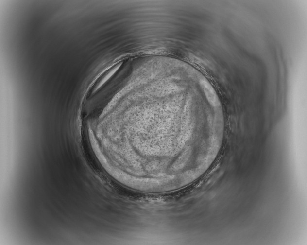 X0000096640194200802261306