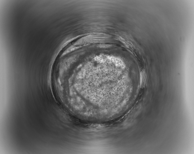 X0000096640195200802261306