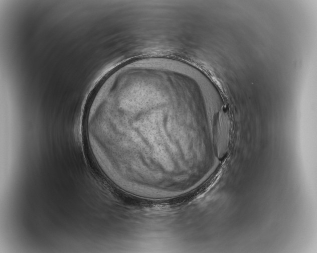 X0000096640196200802261306