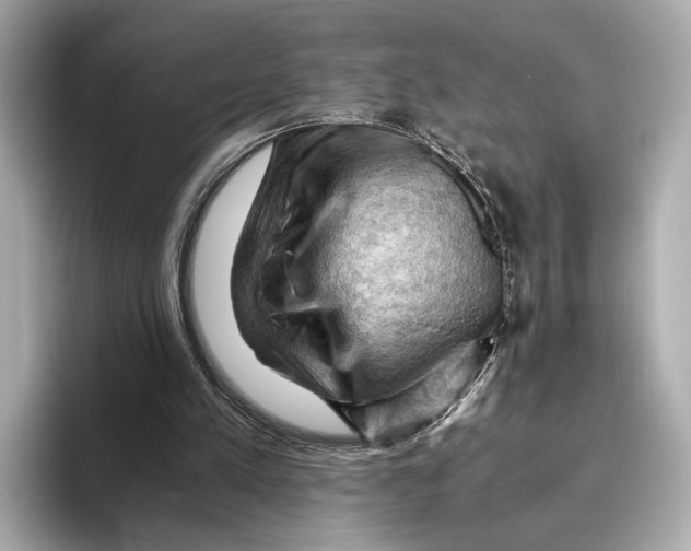 X0000096640197200802261306