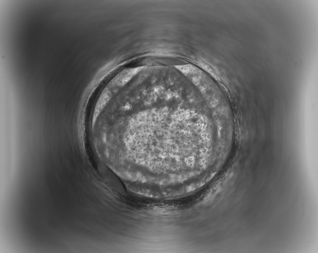 X0000096640199200802261306