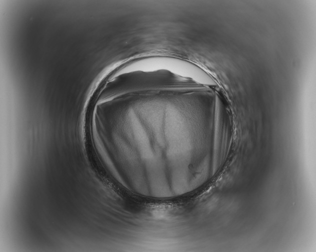 X0000096640200200802261306