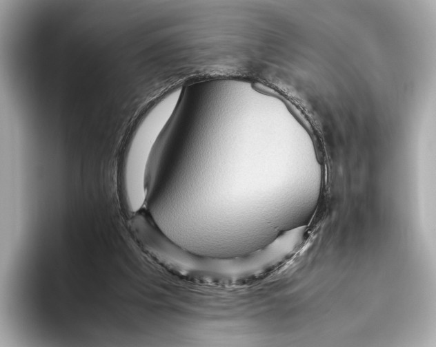 X0000096640201200802261305