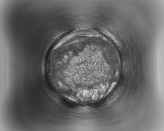 X0000096640203200802261305