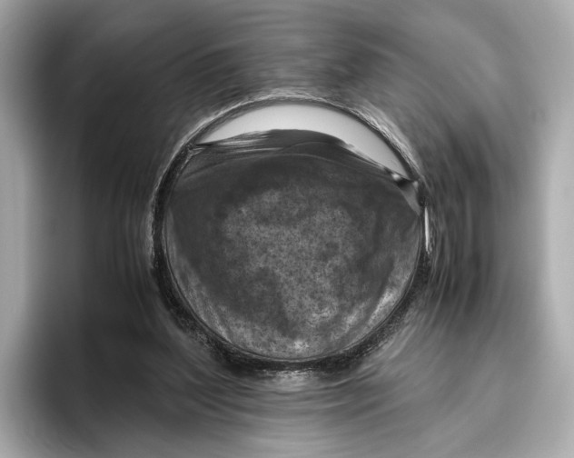 X0000096640204200802261305