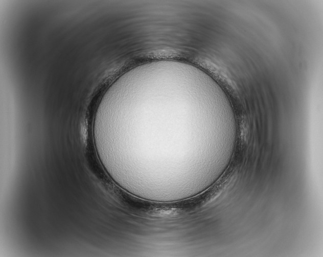 X0000096640206200802261305