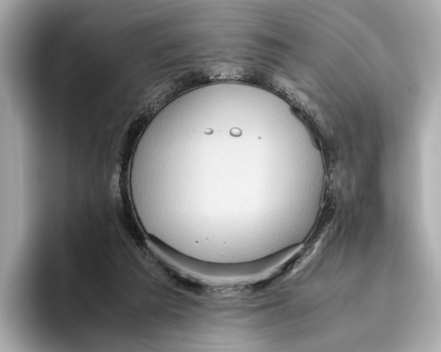 X0000096640209200802261305