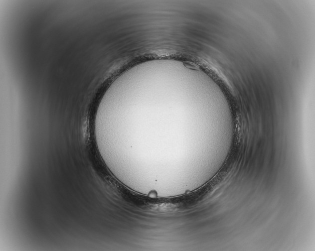 X0000096640212200802261305