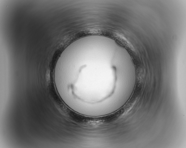 X0000096640213200802261305