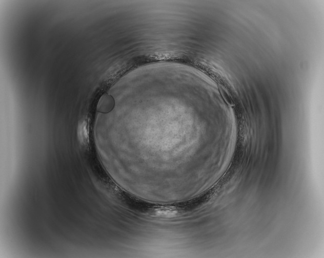 X0000096640214200802261305