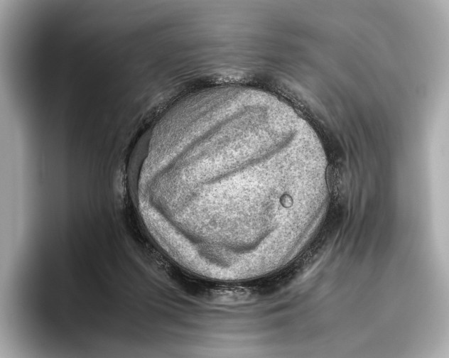 X0000096640215200802261305