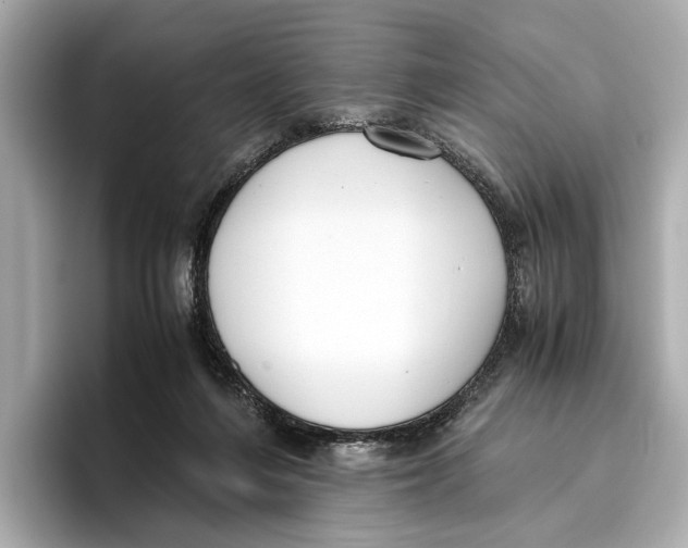 X0000096640216200802261305