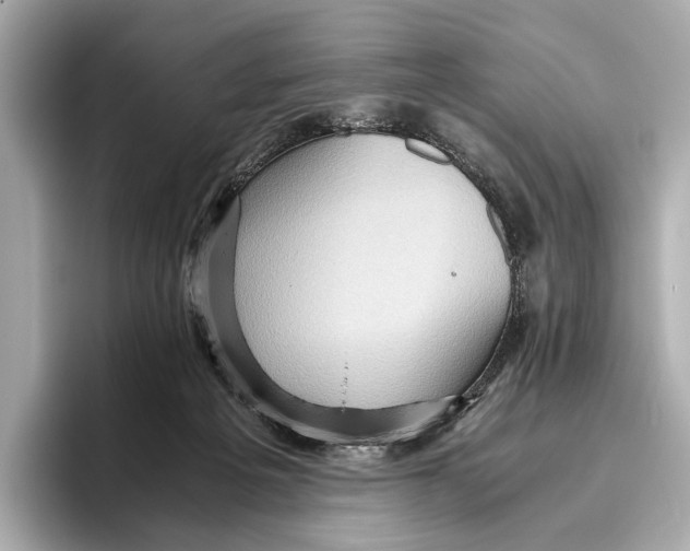 X0000096640217200802261305