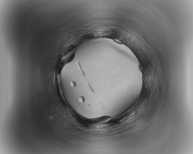 X0000096640219200802261305