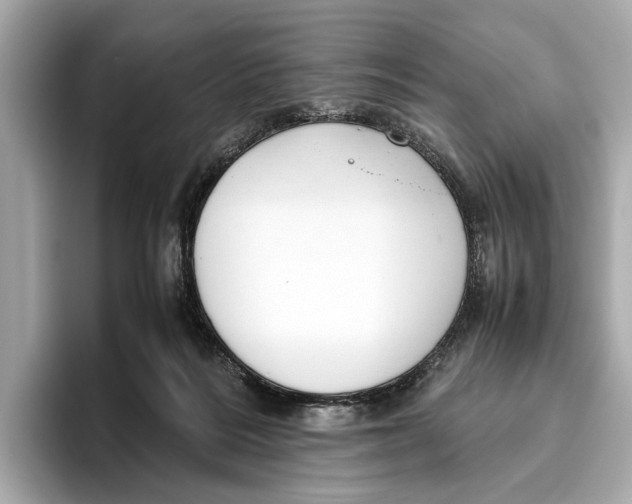 X0000096640220200802261305