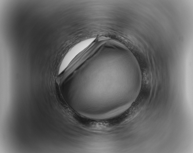 X0000096640223200802261305