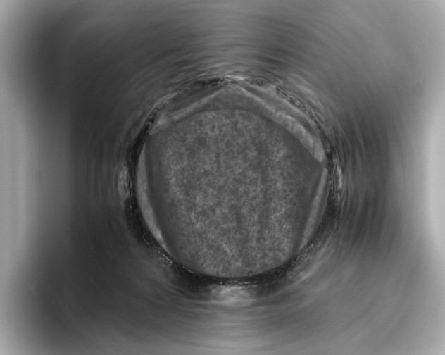 X0000096640224200802261305