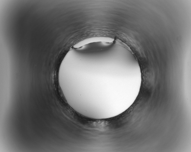 X0000096640225200802261305