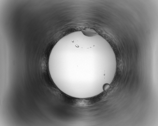 X0000096640226200802261305