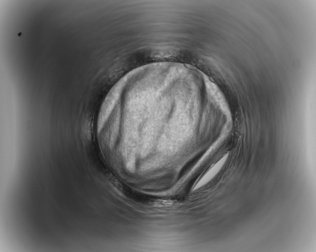 X0000096640227200802261305