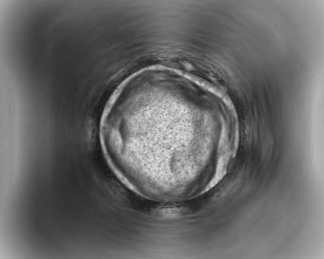 X0000096640228200802261305