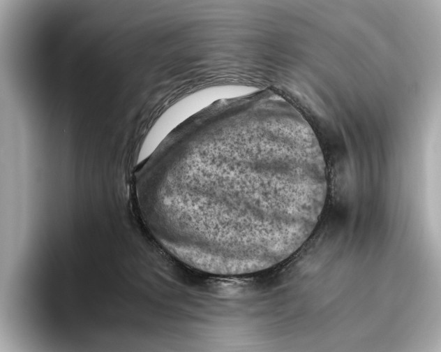 X0000096640229200802261305