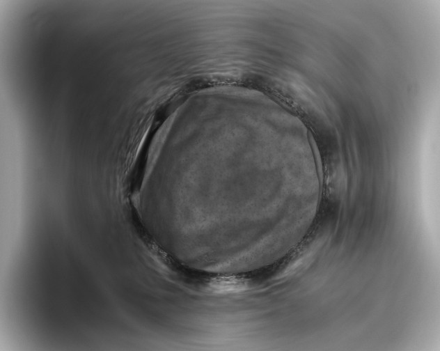 X0000096640231200802261305